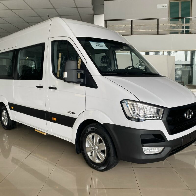 Alternative view of Hyundai Solati